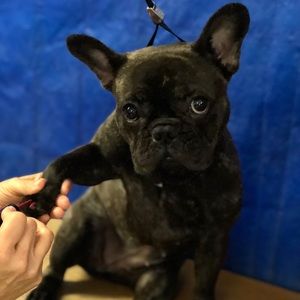 Meet your Posher, Mirta